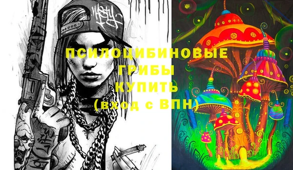 бошки Верхний Тагил