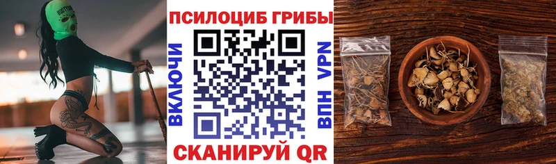 Галлюциногенные грибы прущие грибы  Купить где  Мурино 